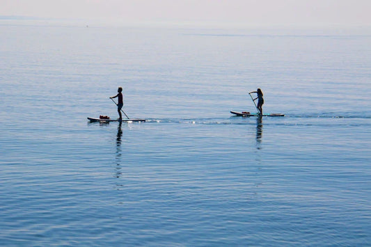 Paddle Boarding Essentials for Beginners