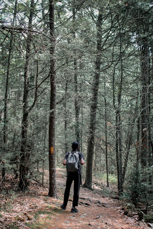 Best Waterproof Bag for Hiking